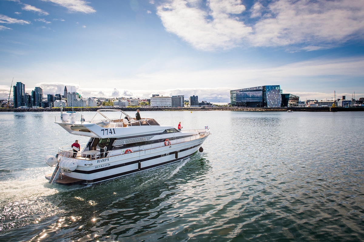 iceland yacht tour