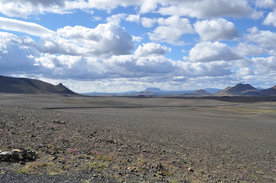 Iceland is only this barren because of Icelanders in the first place.