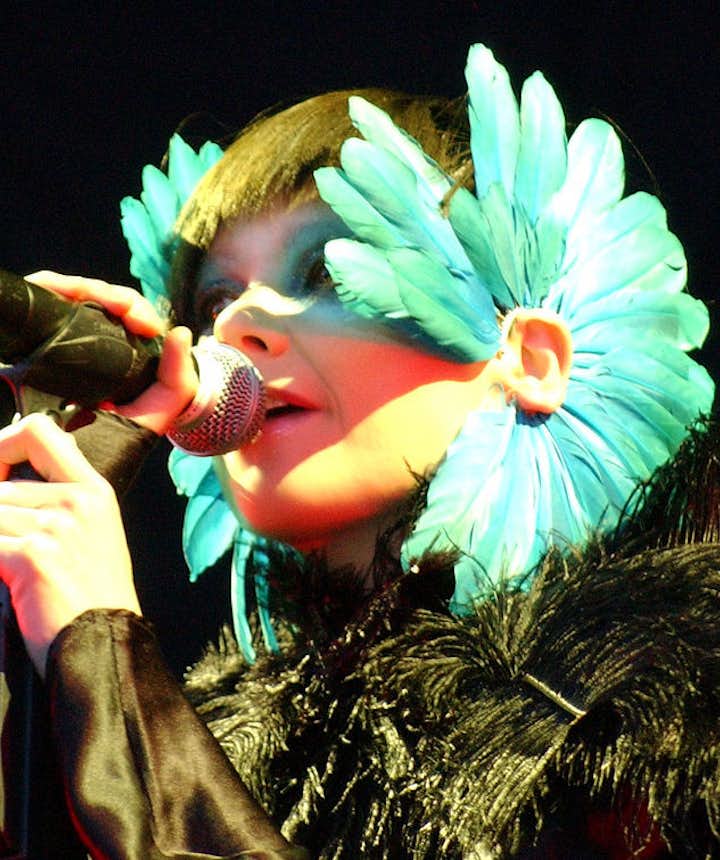 Profil de l'artiste | Björk