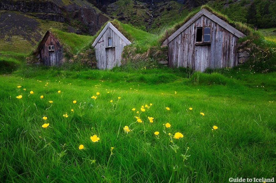 冰島傳統住宿