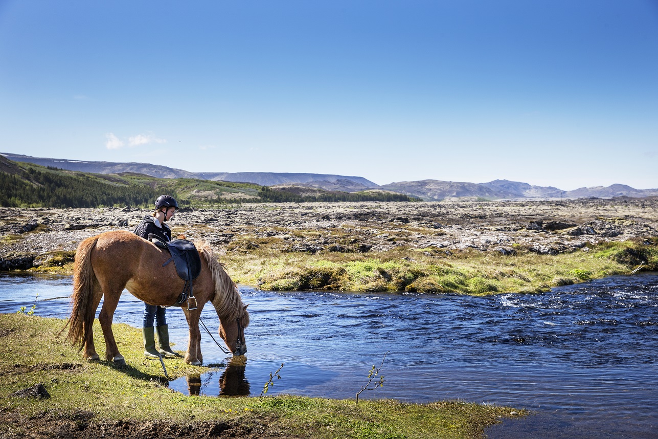 icelandic horse riding tour in lava fields