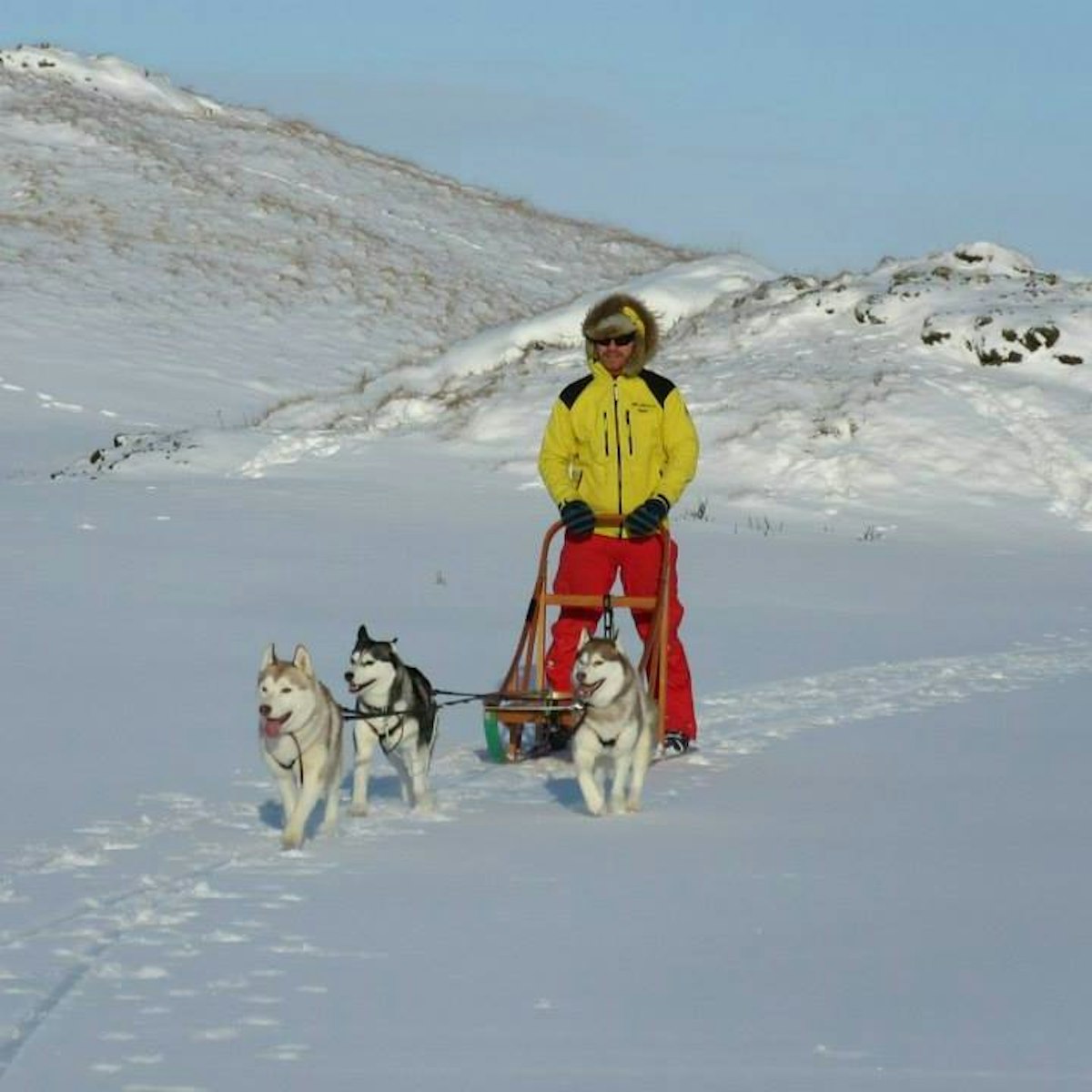 アークレイリ発 犬ぞり体験付きの3泊4日パッケージツアー Guide To Iceland