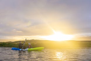 Enjoy a serene kayaking experience under the midnight sun in Iceland's Eastfjords.