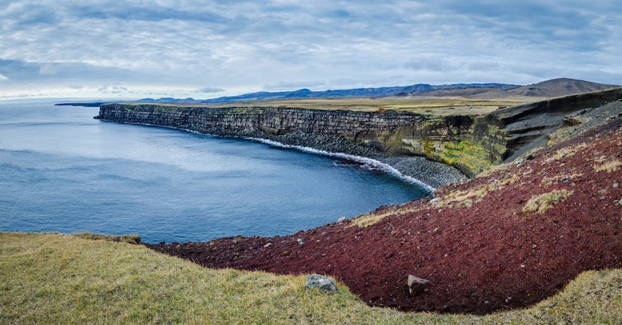 Ces falaises sont l'une des meilleures pour l'observation d'oiseaux en Islande