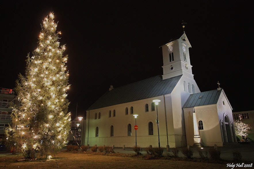 Der Osloer Weihnachtsbaum in Reykjavik. Foto von Wikimedia, Creative Commons, Foto von Helgi Halldorsson