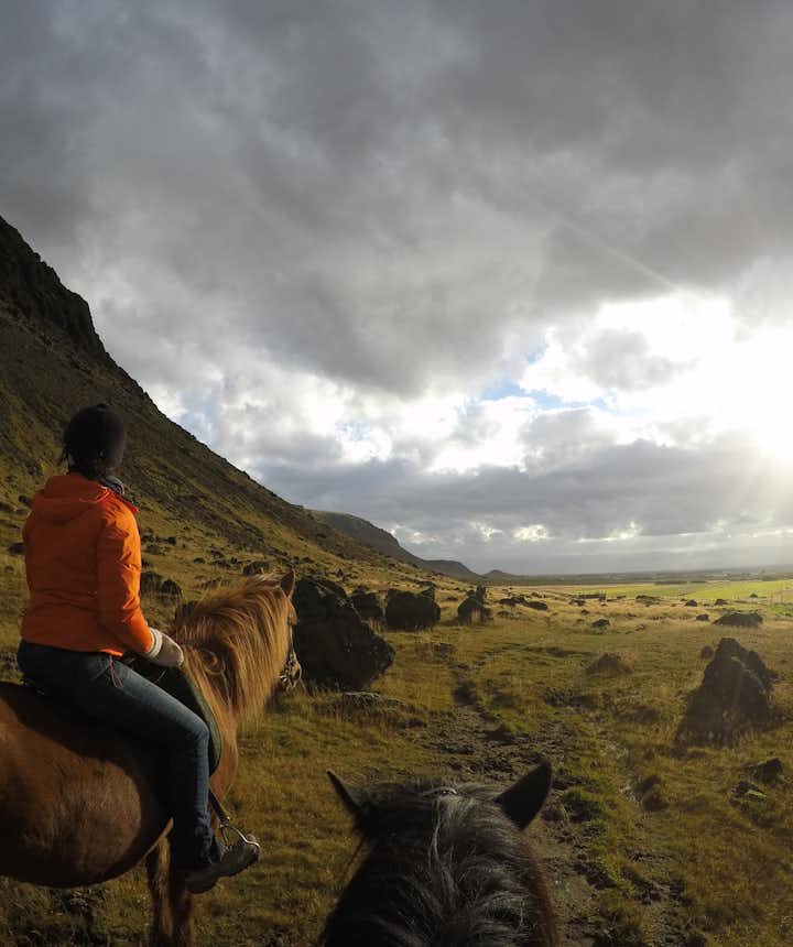 Best time to visit Iceland for horseback riding