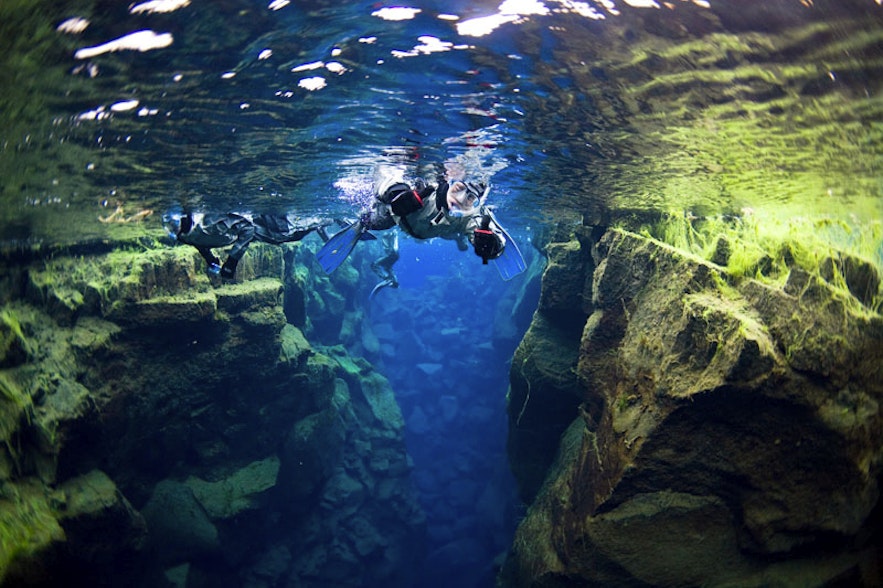 十二月的冰岛浮潜