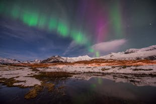 I paesaggi innevati dell'Islanda offrono un paese delle meraviglie ghiacciato, che fa da sfondo all'Aurora Boreale.