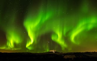 Snakes of the aurora borealis wind across the starry skies of Reykjavík.