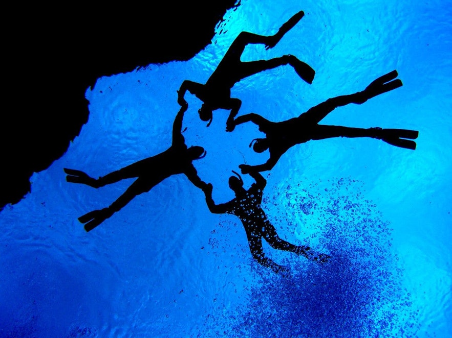 Snorkelentusiaster i det krystalklare vand i Silfra-spalten