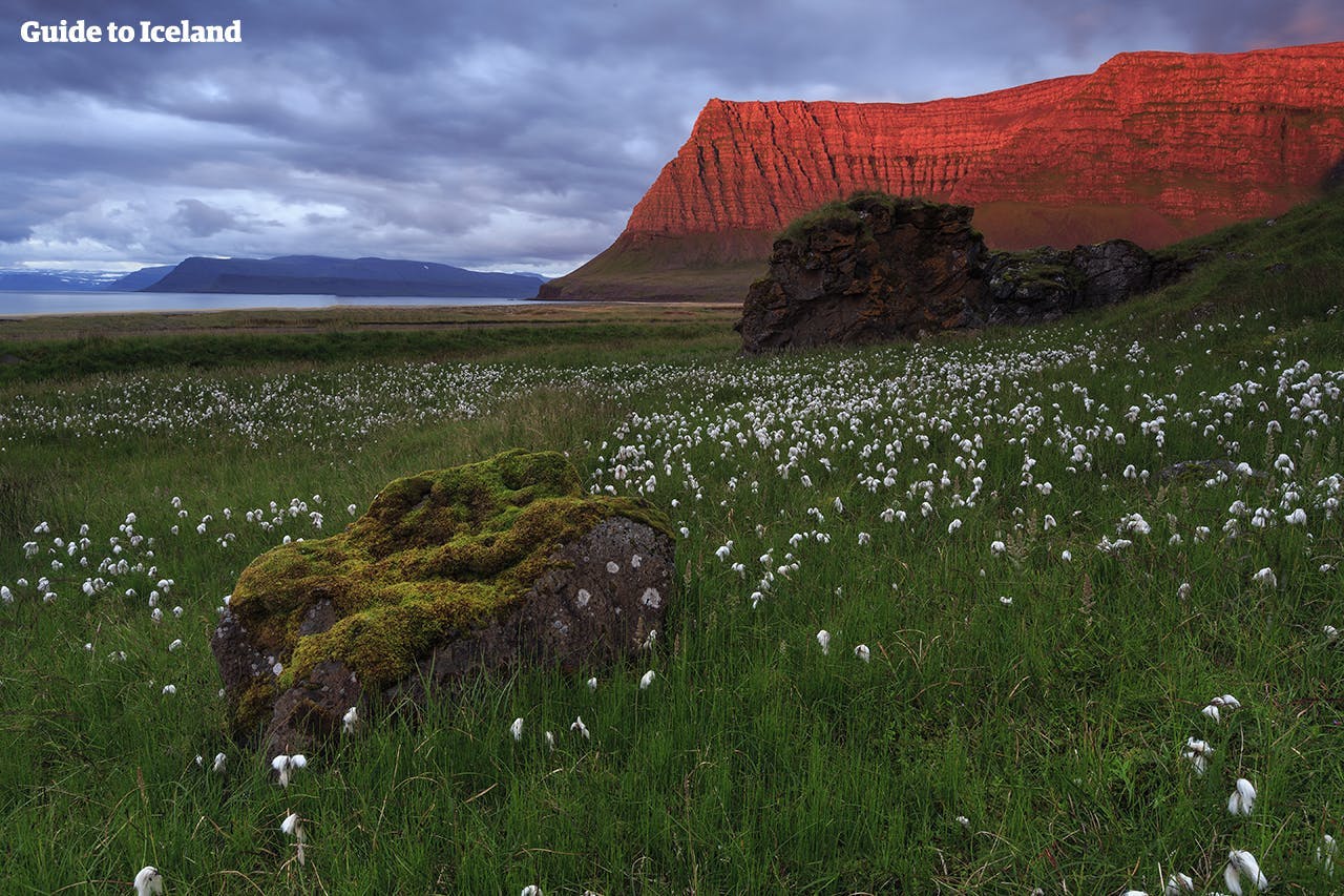 冰岛西峡湾以接近原始的地貌和极致的峡湾景致闻名
