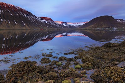 参加旅行团造访冰岛西峡湾，您会被它自然的美景征服