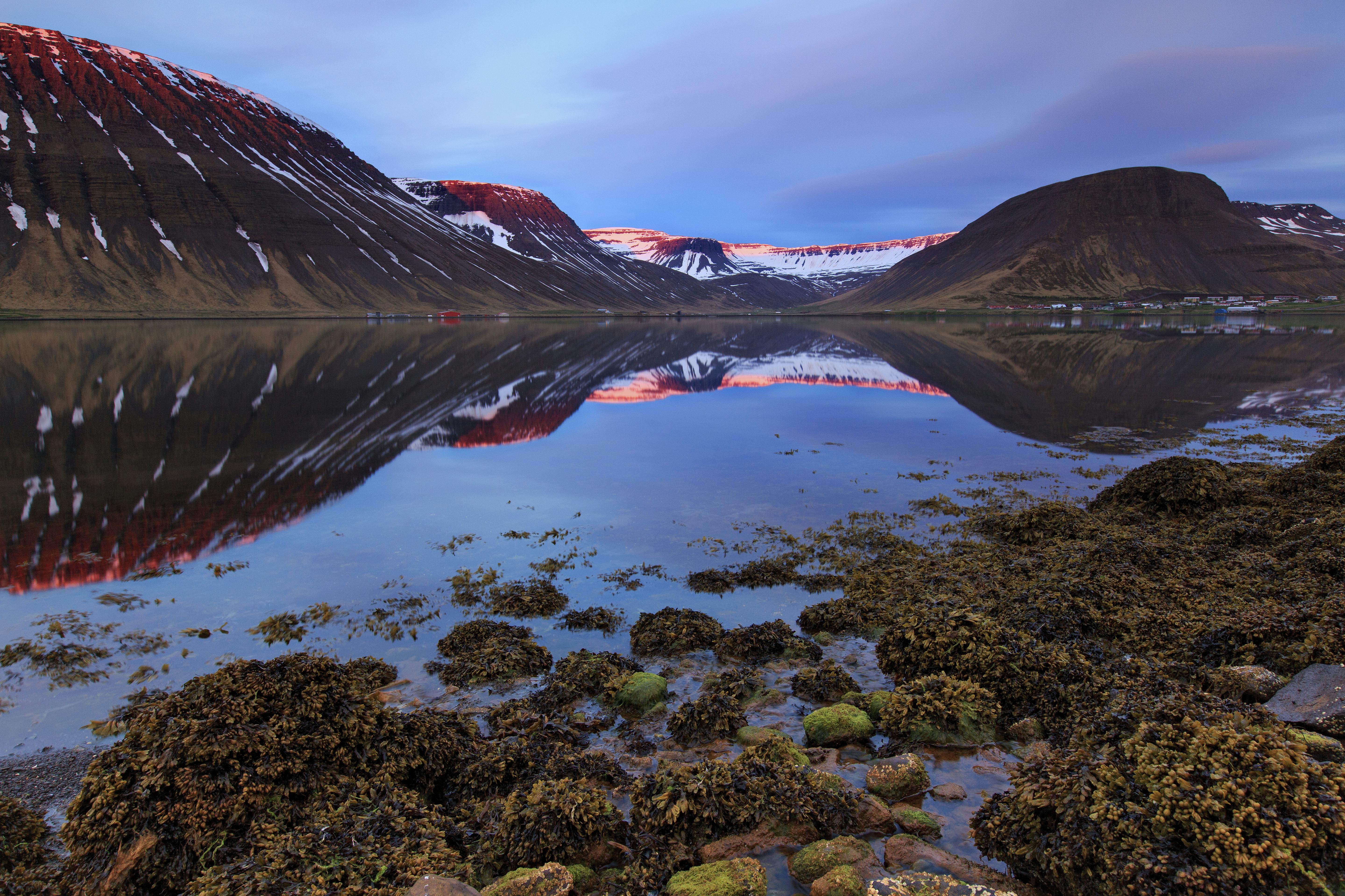 In Depth 5 Day Sightseeing Tour Of Icelands Westfjords W