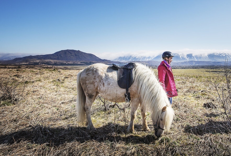 在冰岛骑马