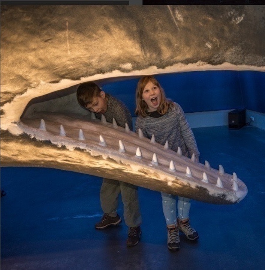 Whales of Iceland Museum in Reykjavik