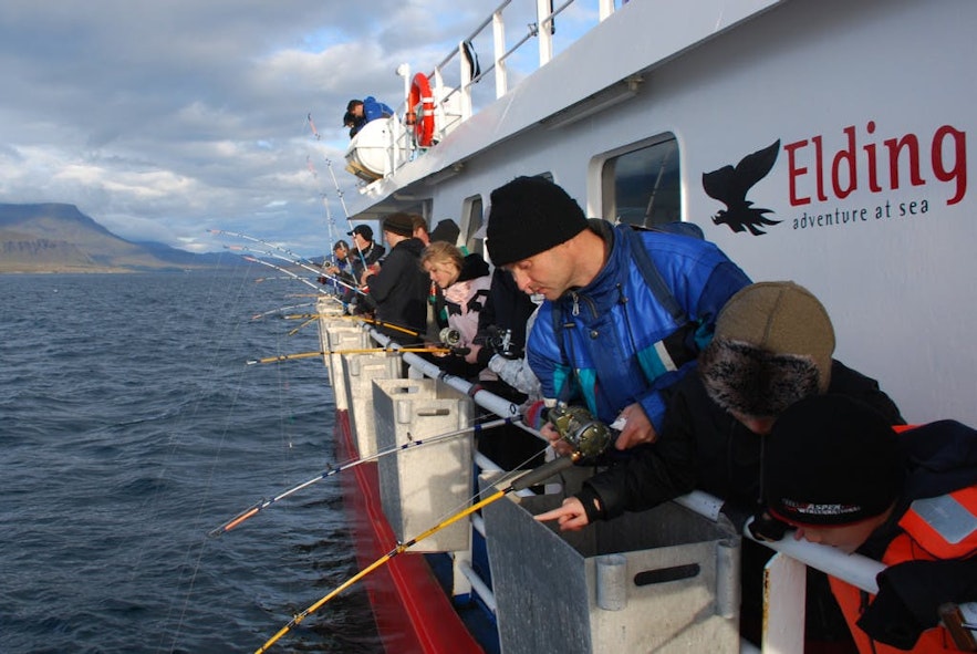 ホエールウォッチング船から魚を狙う釣り客
