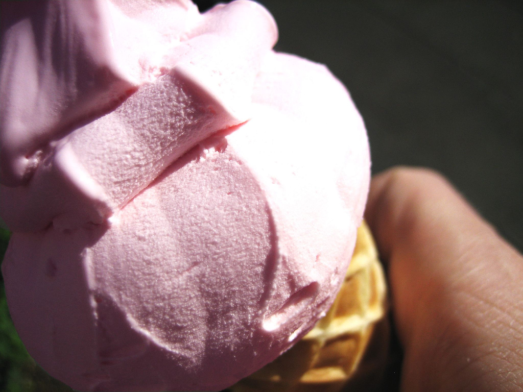 Perfect Ice Cream Pit Stops in Iceland | Guide to Iceland