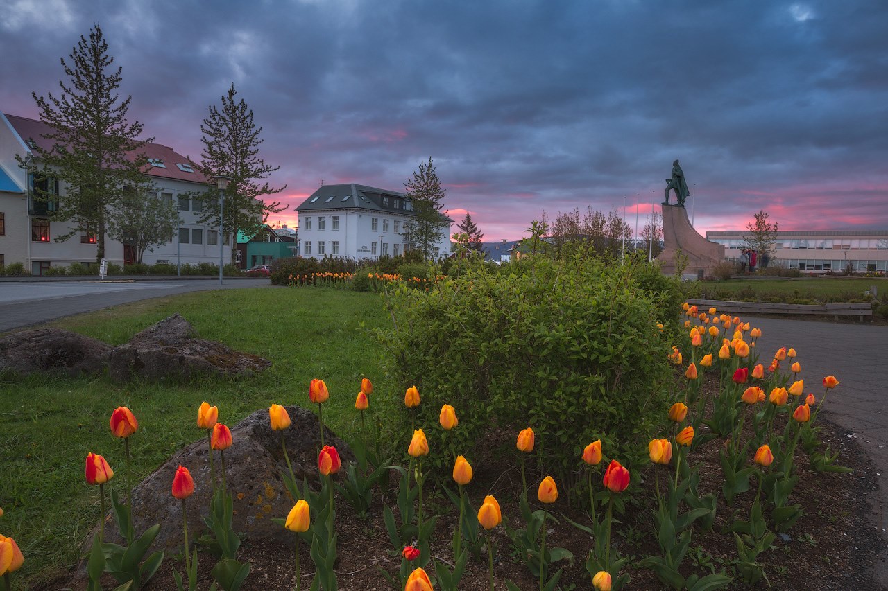 The Ultimate Guide to Downtown Reykjavik Guide to Iceland