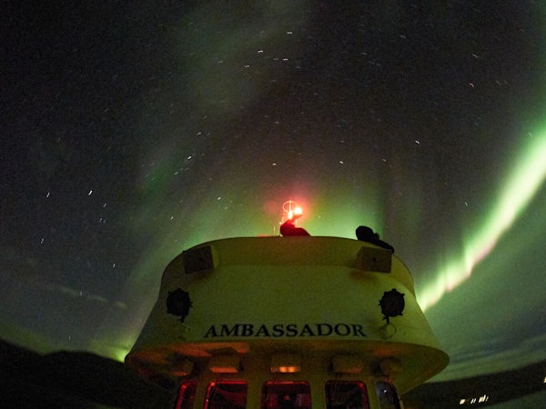 Ambassador Whale Watching / Whale Watching Akureyri