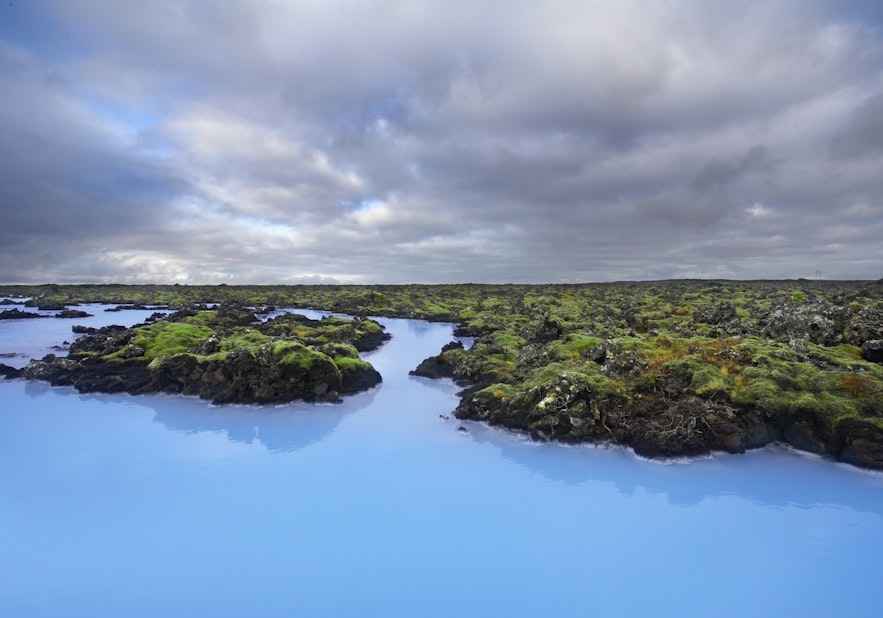 Green moss making contrast with the Blue Lagoon in summertime