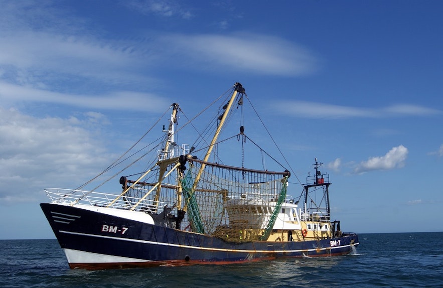 渔业自古至今都是冰岛的重要经济支柱