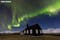冰岛斯奈山半岛布迪尔黑教堂Búðakirkja在北极光下凄美动人