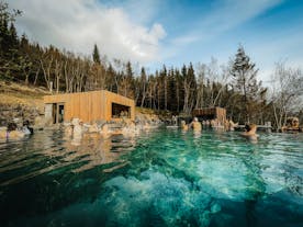 Wooden buildings and the geothermal waters of the Forest Lagoon spa.