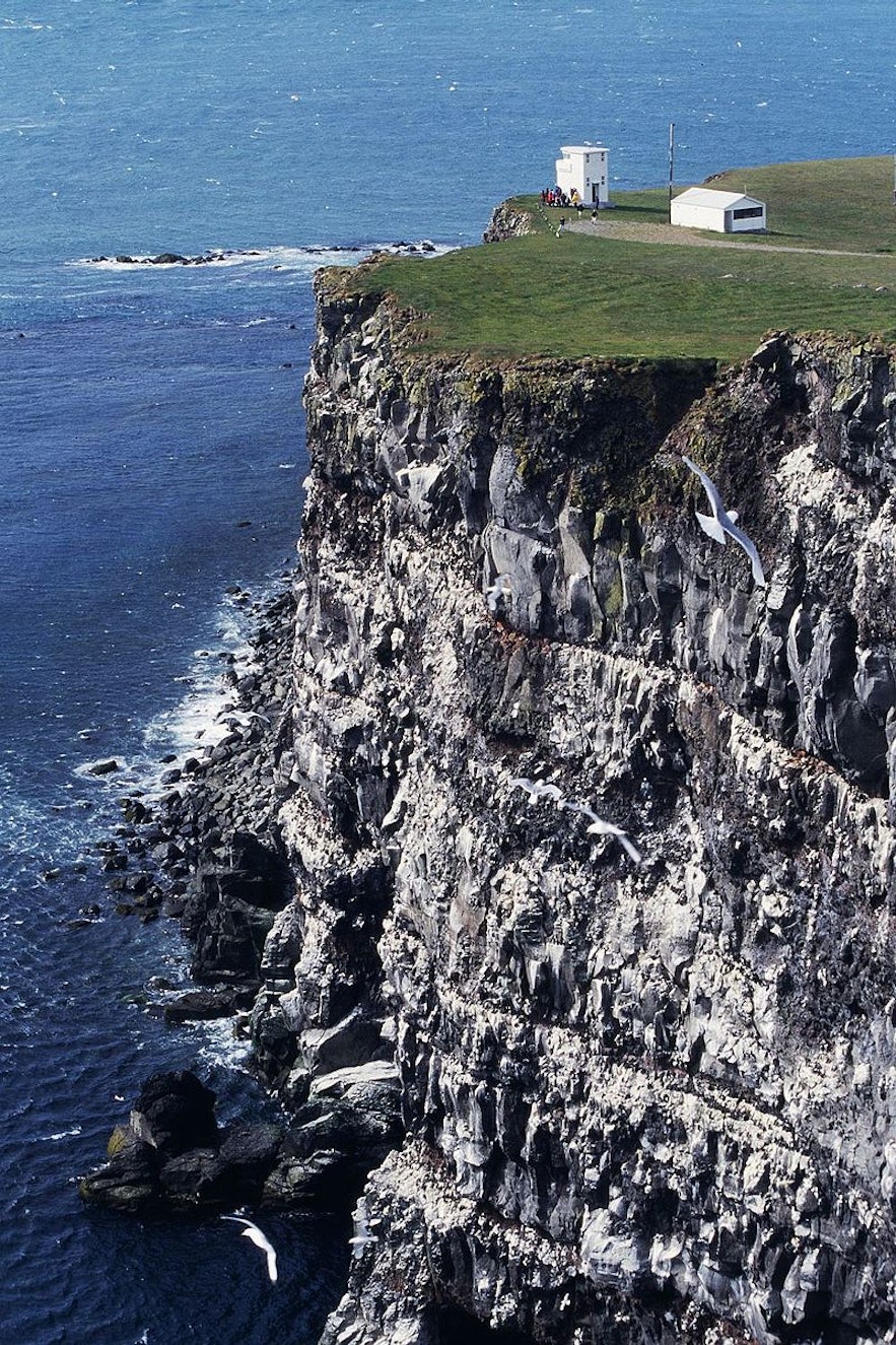 Icelandic traditions mean that locals are able to scale these mighty cliffs