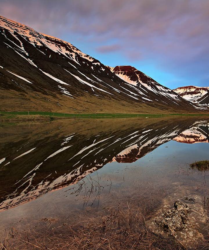아이슬란드의 웨스트피요르드