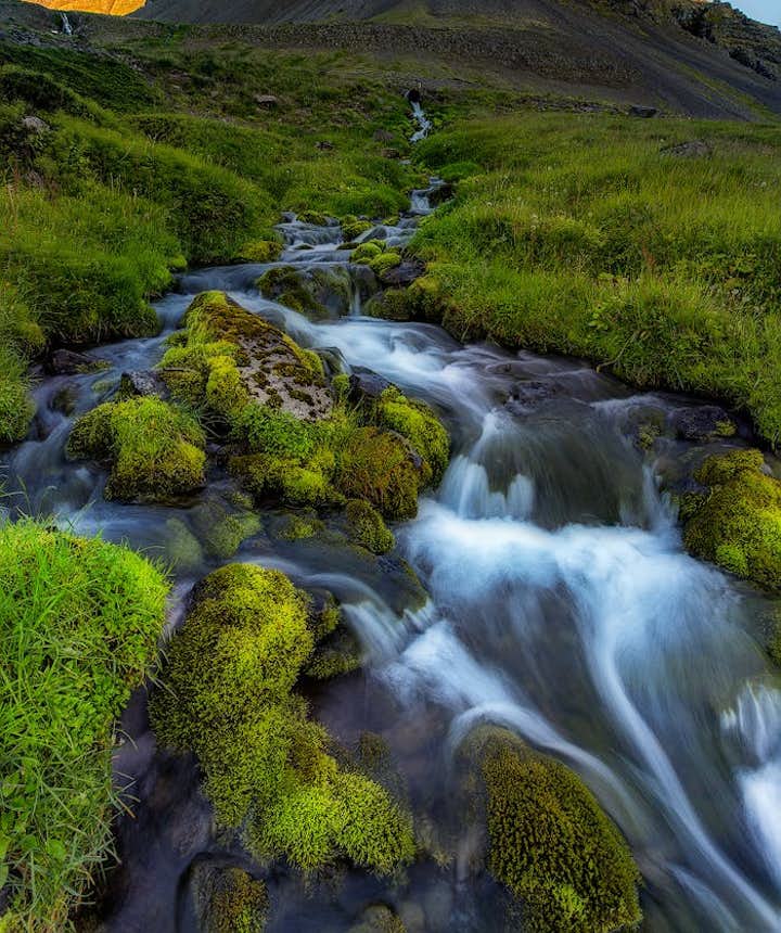 A verdant mountain in the Westfjords