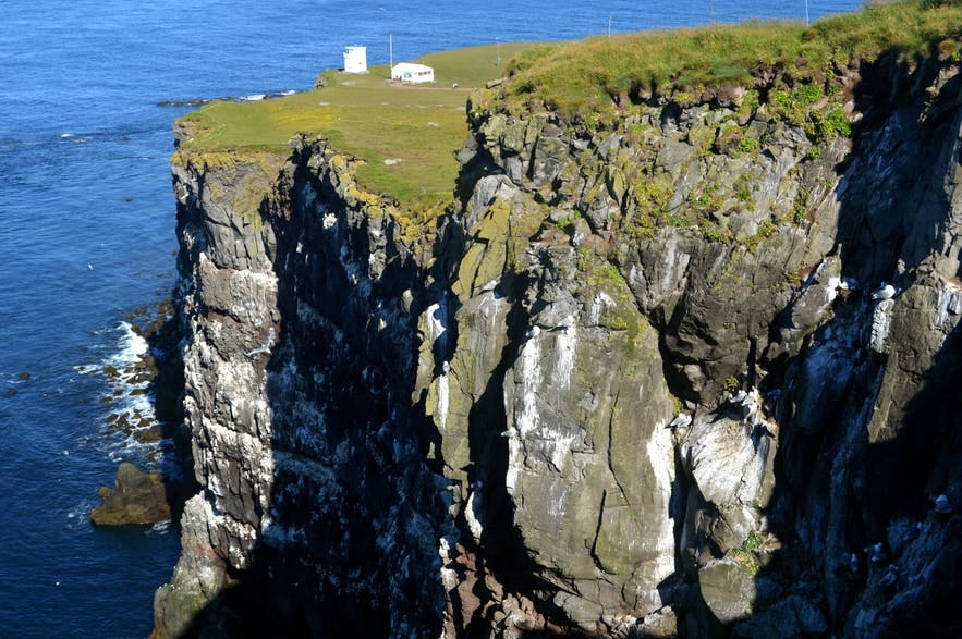 A corner of the cliffs of Látrabjarg