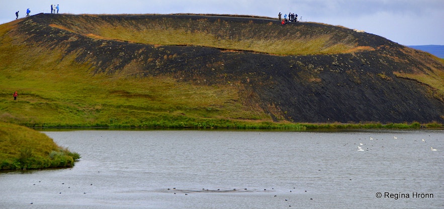 Skútustaðir pseudo craters in the Mývatn area in northeast Iceland