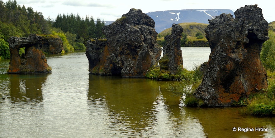 Kálfaströnd Lake Mývatn