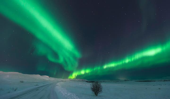 8-Dages kør-selv-tur om vinteren med nordlys på det vestlige og sydlige Island med isgrottetur