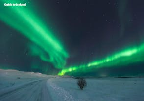 En los tours a tu aire tú decides dónde buscar la aurora boreal y por cuánto tiempo, lo que te permite maximizar tus posibilidades de capturar este sorprendente fenómeno.