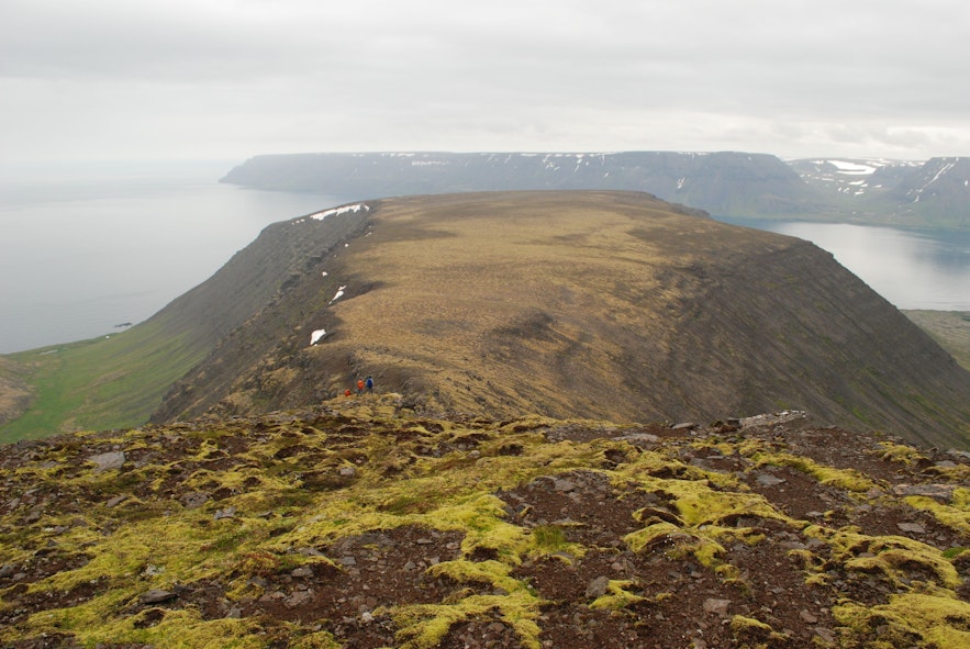 Jitter-glitter Guiding in the Westfjords of Iceland