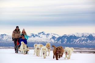 This dog sledding tour can be enjoyed by kids and adults alike.