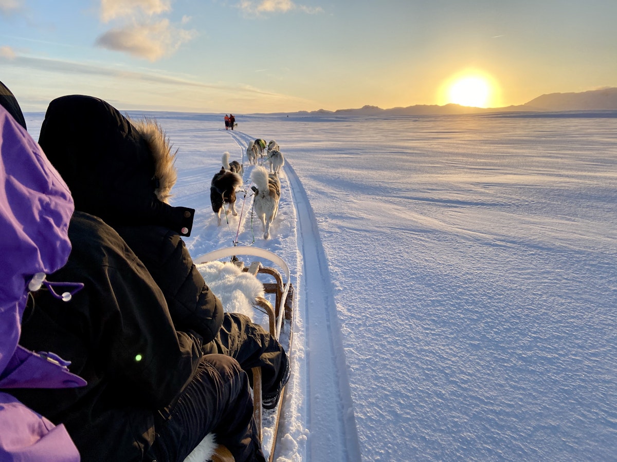 Dog Sledding Near Reykjavik | Guide to Iceland