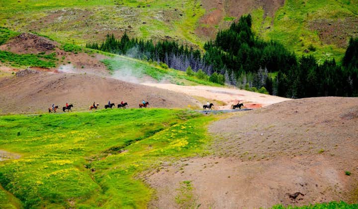 Icelandic horses travelling through Reykjadalur Valley.