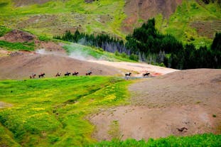 Исландские лошади шествуют по долине Рейкьядалюр.