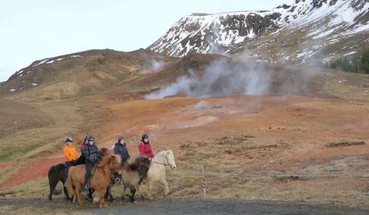 Исландские лошади на фоне дымящихся горячих источников.