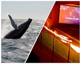 Exciting 4.5-Hour Whale Watching and Lava Show Combo Tour from Reykjavik