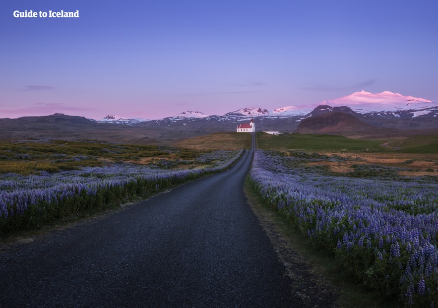 Auf der Reise durch diesen isländischen Nationalpark ist der Snaefellsjokull immer präsent.