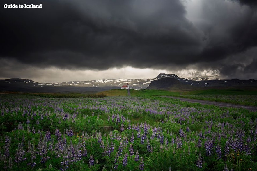 아이슬란드 스나이펠스네스 반도에서 바라본 멋진 하늘 풍경