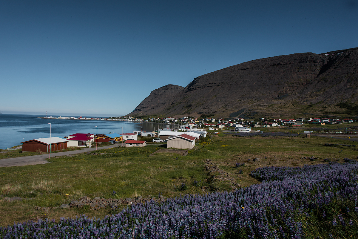 冰岛西峡湾的帕特雷克斯菲厄泽小镇风光秀美