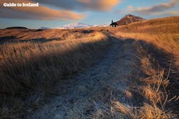 Snæfellsjökull nationalpark
