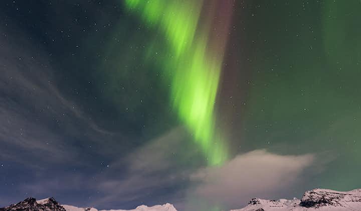 The northern lights descending from a starry sky.
