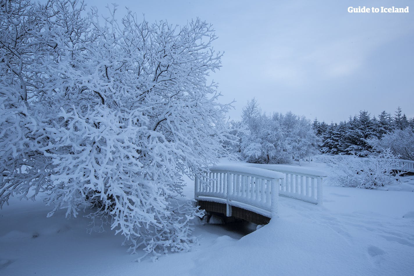 Cuando cae la nieve en Reikiavik, la ciudad se convierte en un paraíso invernal