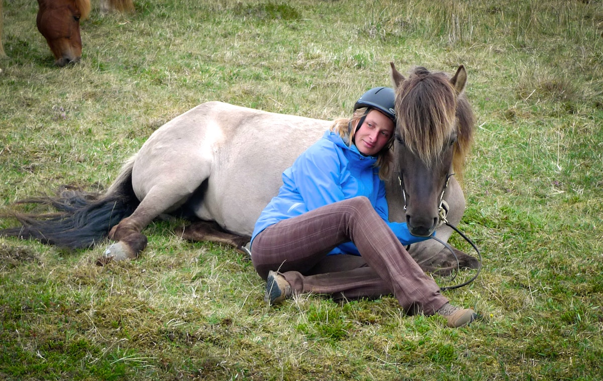 Tour a cavallo di 3 ore nella campagna selvaggia dell'Islanda orientale