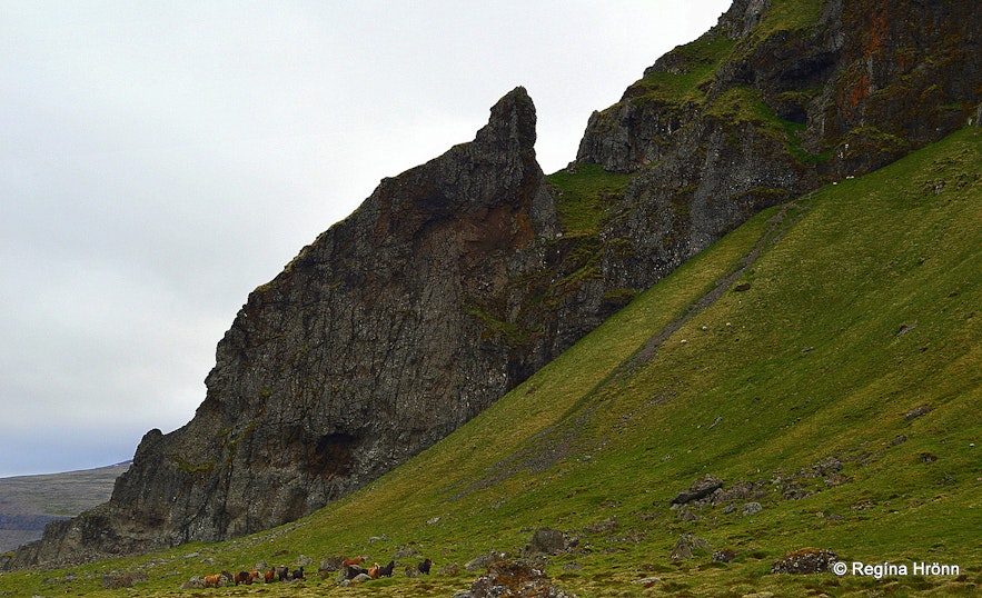 Grafardrangur Skarðsströnd West-Iceland